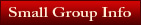 Small Group Info
